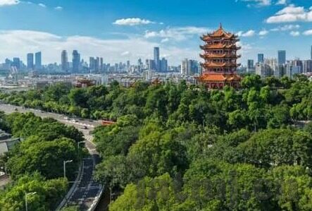 91麻豆精品国产在线-解锁本土视界，探索91麻豆精品国产在线的独特魅力