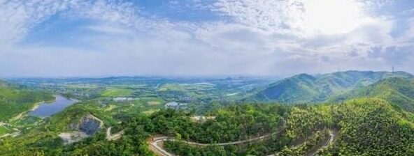 91麻豆种子-解密91麻豆种子，未经审视的选择与数字时代的陷阱