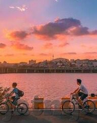 成人在线av视频-成人在线av视频，理性审视与界限探讨