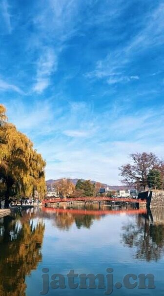 大象一二三区别视频-探索大象，从一到三的奇妙旅程