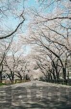 黄色av麻豆-解题心得，解锁色情内容的危害与教育必要性