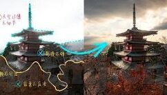 糖心app平台下载网站-解锁数字生活新体验，探索糖心APP平台的实用价值