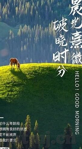 糖心视频vlog官网入口-一窥数字世界的甜蜜角落，解锁糖心视频vlog的观影之旅