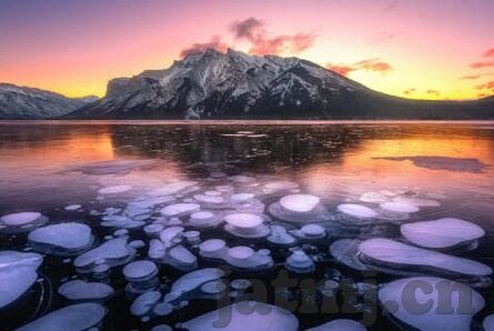 糖心vlog官网入口贴吧-追寻潮流，揭秘糖心Vlog的魅力度与助攻背后的贴吧风潮