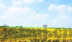 糖心下载安装app-警惕网络安全的雷区，正确认识软件下载安装的必要性